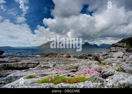 Cullins Elgol Strand mit Thift Isle Of Skye, innere Hebriden, Schottland, UK LA006285 Stockfoto