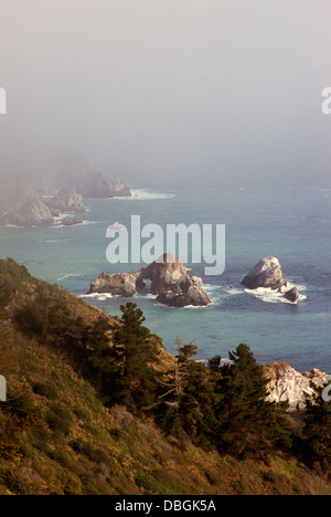 Big Sur, Kalifornien, USA - zerklüftete Küste im Julia Pfeiffer Burns State Park entlang Pacific Coast Highway 1 Stockfoto