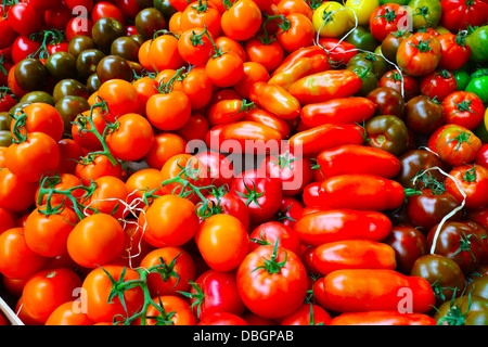 Verschiedene Tomaten Stockfoto