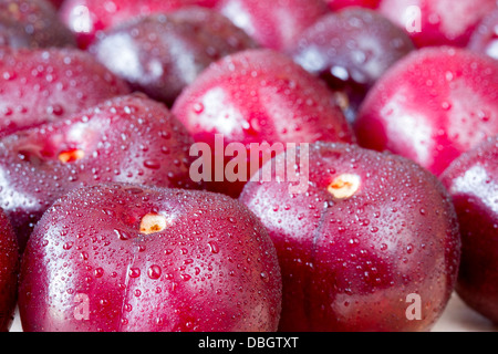 Schließen Sie herauf Bild der Picota Kirschen Stockfoto