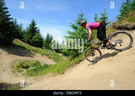 Mountainbiker auf Hully Gully, Gisburnund Wald Stockfoto