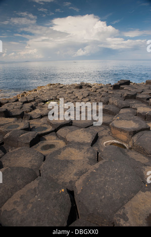 Basalt Säulen bei Giants Causeway, Nordirland. Stockfoto