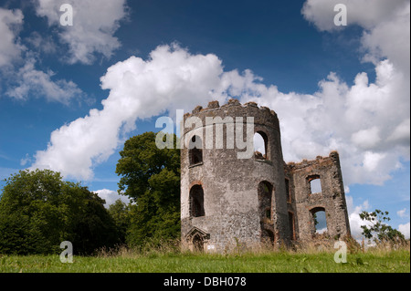 Zerstörten Turm von Shanes Castle am Ufer des Lough Neagh, Antrim, Nordirland. Stockfoto