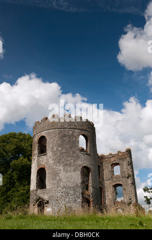 Zerstörten Turm von Shanes Castle am Ufer des Lough Neagh, Antrim, Nordirland. Stockfoto