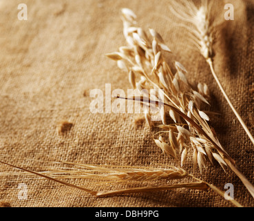 Ähren auf Sackleinen Hintergrund Grenze. mit Textfreiraum Stockfoto