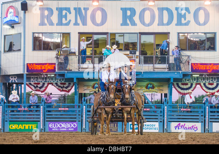 Maultier-Wagen teilnehmen beim Reno Rodeo statt einem Professional Rodeo in Reno Nevada Stockfoto