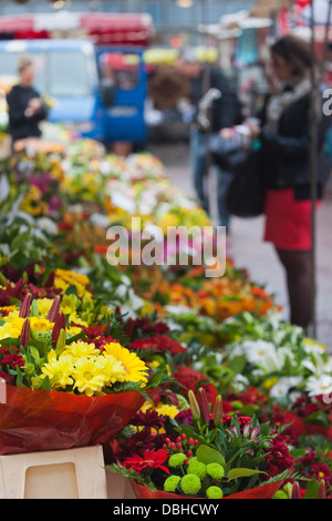Frankreich, Nord, französischen Flandern, Lille, Wazemmes Sonntagsmarkt, Blumen. Stockfoto