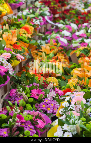 Frankreich, Nord, französischen Flandern, Lille, Wazemmes Sonntagsmarkt, Blumen. Stockfoto