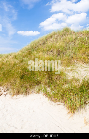 Detail einer teilweise bewachsene Sanddüne an der Nordsee in Norderney, Deutschland mit schönen blauen Himmel. Stockfoto