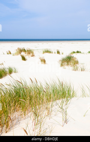 Zum Teil bewachsene Sanddünen am Strand Nordsee in Norderney, Deutschland. Stockfoto