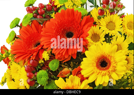 Bunter Strauß von Gerbera Blumen isoliert auf weißem Hintergrund. Closeup. Stockfoto