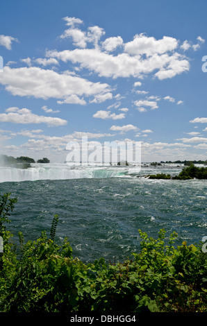 Eine Ansicht des Niagara River, bevor es über die Fälle geht. In der Ferne sehen die kanadischen Horseshoe Falls.  Sommer. Stockfoto