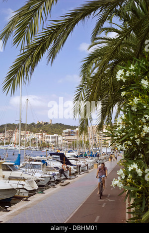 Das Wasser Weg zum Wandern und Radfahren, neben den Booten im Hafen von Palma De Mallorca Stockfoto