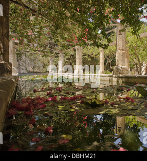 Ruhigen Pool in des Bischofs Gärten in Palma de Mallorca, Spanien Stockfoto