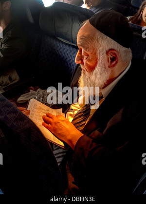 Tragen eine Kippa Käppchen, liest ein bärtiger orthodoxer Jude aus einem Buch auf Hebräisch auf ein Verkehrsflugzeug Stockfoto