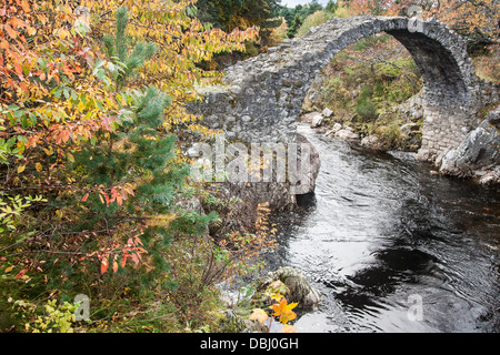 Alte Brücke der Lastesel in Carrbridge in Schottland Stockfoto