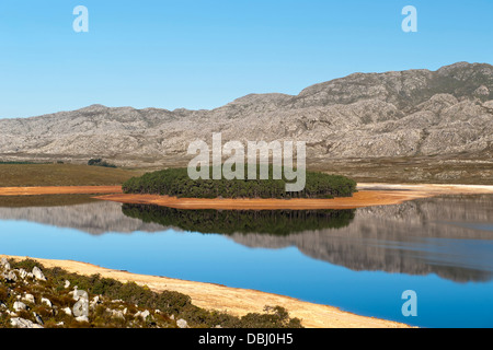 Steenbaras Damm, Provinz Westkap, Südafrika. Stockfoto