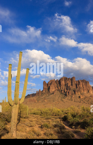 Saguaro-Kaktus im Vordergrund mit dem Aberglauben Berg in Lost Dutchman State Park, Arizona, USA Stockfoto