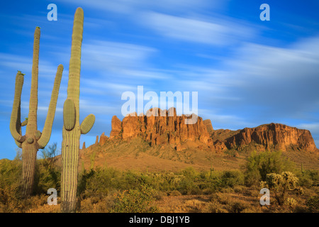 Saguaro-Kaktus im Vordergrund mit dem Aberglauben Berg in Lost Dutchman State Park, Arizona, USA Stockfoto