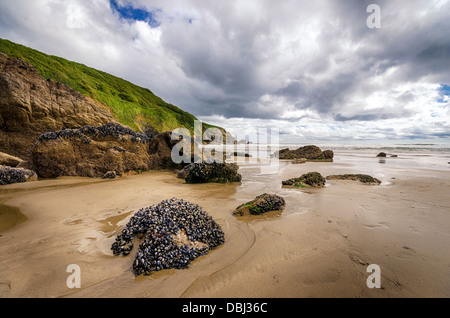 Hemmick Strand in der Nähe von Penare an der südlichen Küste von Cornwall Stockfoto