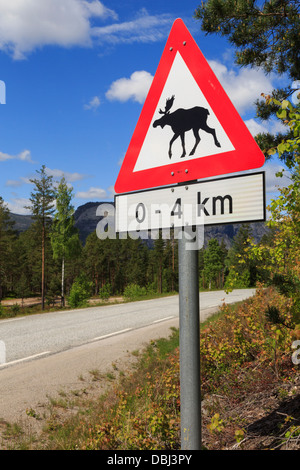 Rotes Dreieck Warnschild Elch oder Elch am Straße 41 durch Wald um Nissedal, Telemark Grafschaft, Norwegen, Scandinavia Stockfoto