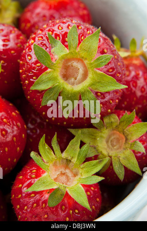Erdbeeren in einer Tasse Stockfoto