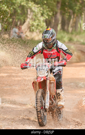 2013 Baja Aragon Gewinner Joan Barreda überqueren "Dry River" Stockfoto