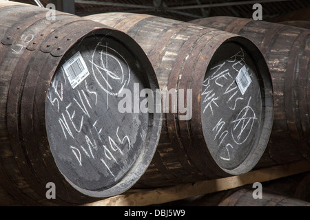 Glen Moray Distillery Rack 1995  Scottish Whisky Fässer, Schottland, UK Stockfoto