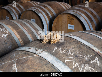 Glen Moray Distillery Plugged hessischen schottischen Whisky Fässer, Schottland, UK Stockfoto