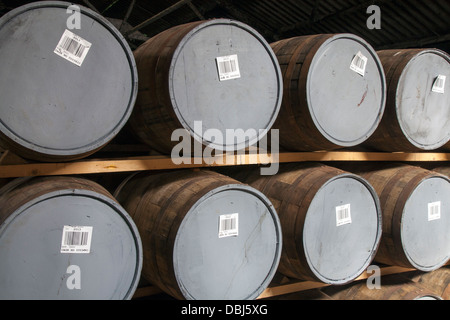 Glen Moray Distillery Scottish Whisky Fässern, Schottland, UK Stockfoto