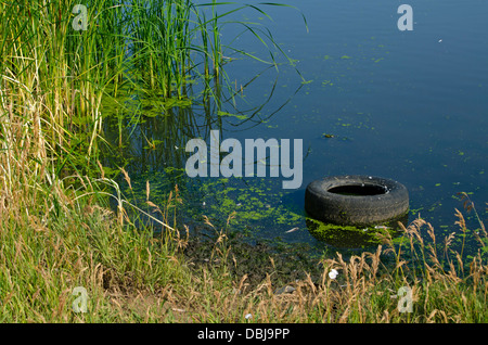 Gebrauchte Reifen in der Nähe von Küste von Rohrkolben Marsh/Teich, Colorado uns Stockfoto