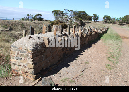 Spiky Bridge auf der Ost Küste von Tasmanien ist eine beliebte Touristenattraktion. Stockfoto