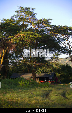 Ol Kinyei Conservancy Camp. In der Nähe von Masai Mara. Kenia, Afrika. Stockfoto