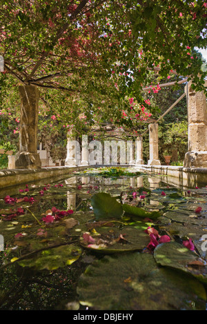 Ruhigen Pool in des Bischofs Gärten in Palma de Mallorca, Spanien Stockfoto