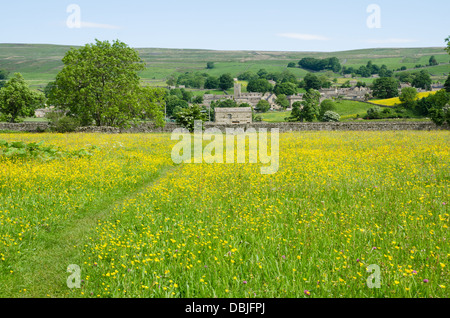 Ansicht des Wensleydale im Sommer Stockfoto