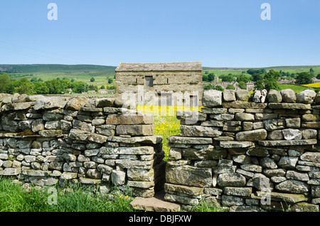 Ansicht des Wensleydale im Sommer Stockfoto