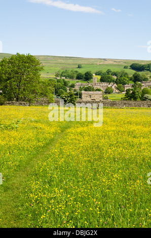 Ansicht des Wensleydale im Sommer Stockfoto