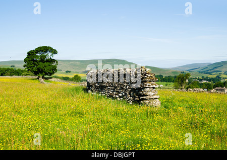 Ansicht des Wensleydale im Sommer Stockfoto