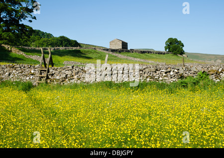 Ansicht des Wensleydale im Sommer Stockfoto