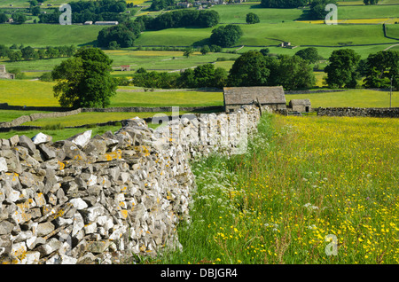 Ansicht des Wensleydale im Sommer Stockfoto