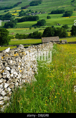 Ansicht des Wensleydale im Sommer Stockfoto