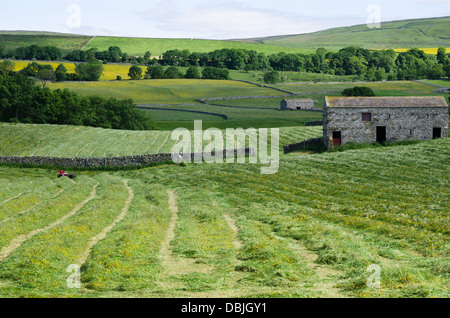 Ansicht des Wensleydale im Sommer Stockfoto