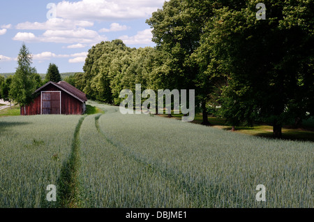 alte Scheune steht in dem Gebiet, Finnland Stockfoto