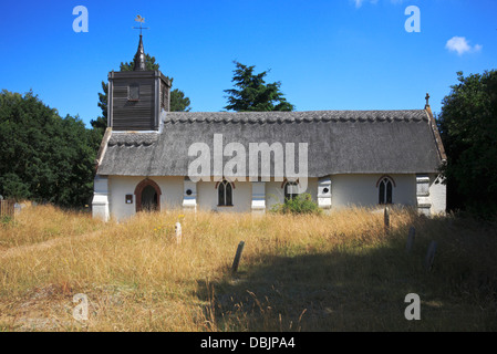 Ein Blick von der Pfarrkirche St. Mary am Sisland, Norfolk, England, Vereinigtes Königreich. Stockfoto