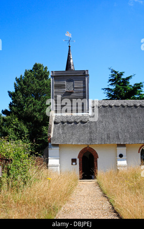 Ein Blick auf den Eingang Tür einen hölzernen Turm der Pfarrkirche St. Mary in Sisland, Norfolk, England, Vereinigtes Königreich. Stockfoto