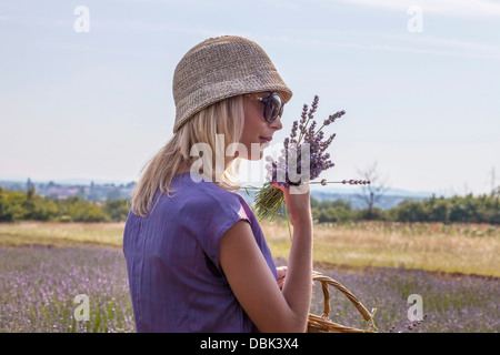 Junge Frau mit Haufen von Lavendel in Händen, Dalmatien, Kroatien, Europa Stockfoto