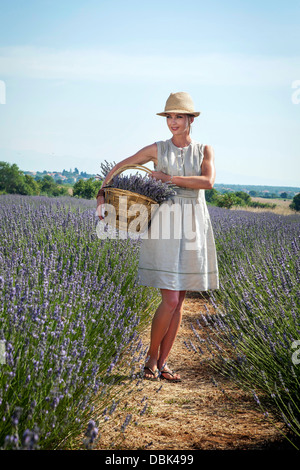Junge Frau In Lavendel Feld, Kroatien, Dalmatien, Europa Stockfoto