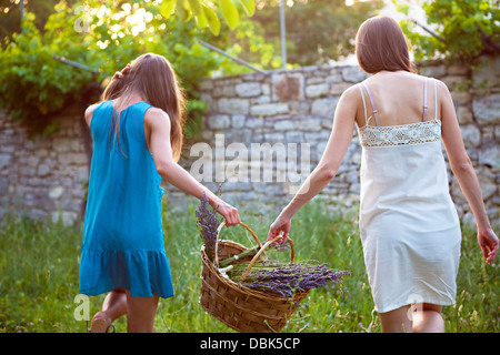 Zwei Frauen Korb mit Lavendel Blumen, Kroatien, Dalmatien, Europa Stockfoto