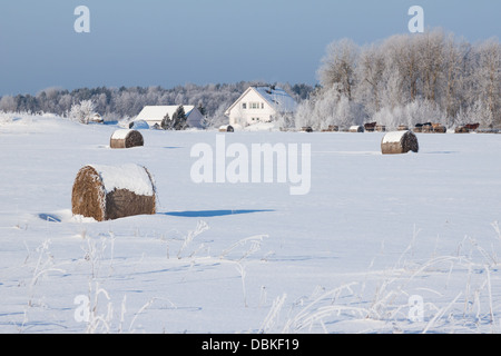 Bauernhof mit Scheune, Pferde und Heuballen Verlegung im Schnee Winter Feld-Hof Stockfoto