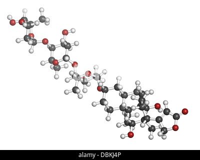 Digoxin Herzinsuffizienz Droge, chemische Struktur. Extrahiert aus Fingerhut (Digitalis Lanata). Stockfoto